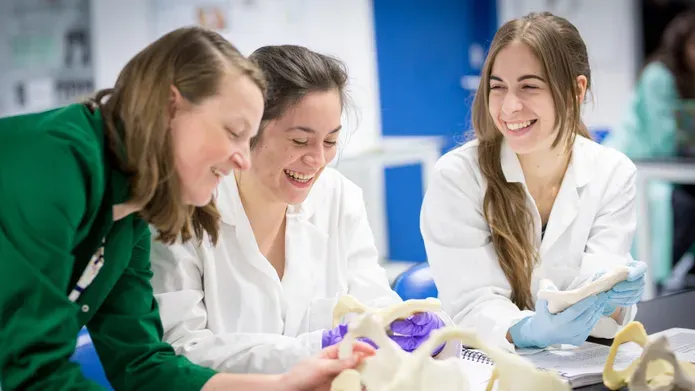 Students studying bones