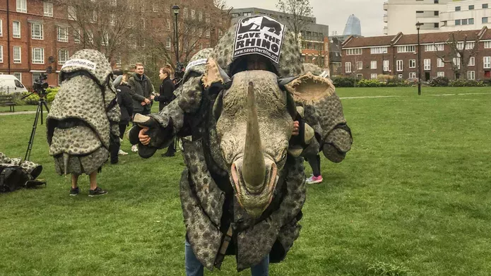 students dressed as rhinos