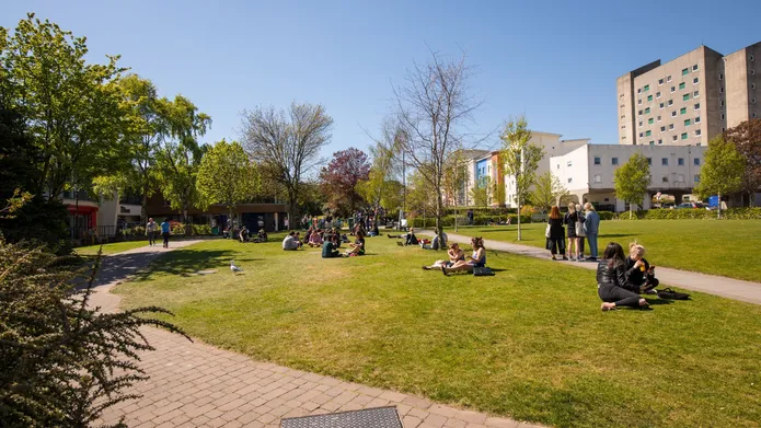 Students sit on Campus Green, looking towards Belmont Flats on a sunny day