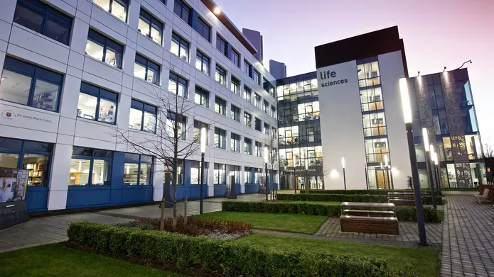 a tree and squares of grass with benches and the building behind it