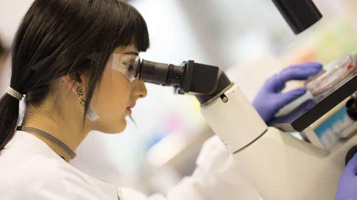Researcher looking into microscope 