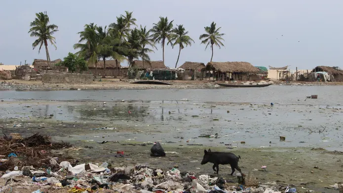 image of island with trees in river, with wild boar around