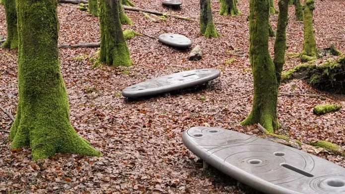 park benches in a forest