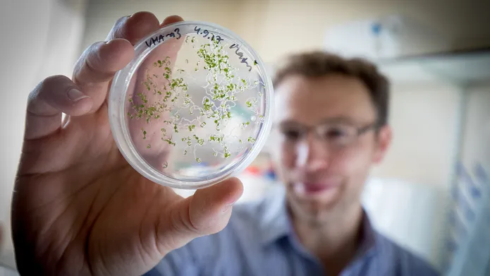a blurred figure holding a petri dish containing cells