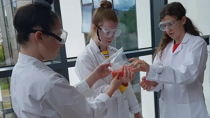 women in lab coats with test tubes