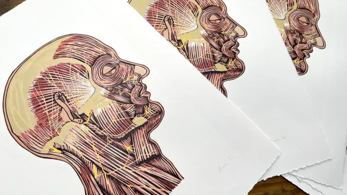 A selection of prints showing an illustrated anatomy of a skull