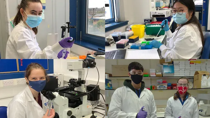 four separate images in a collage showing students working in labs