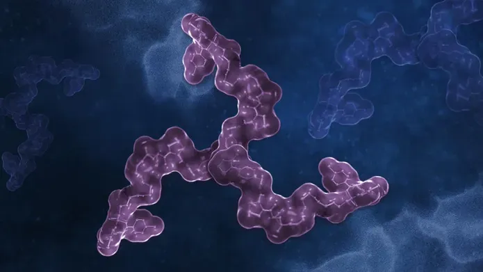 illustration of the three-headed protac