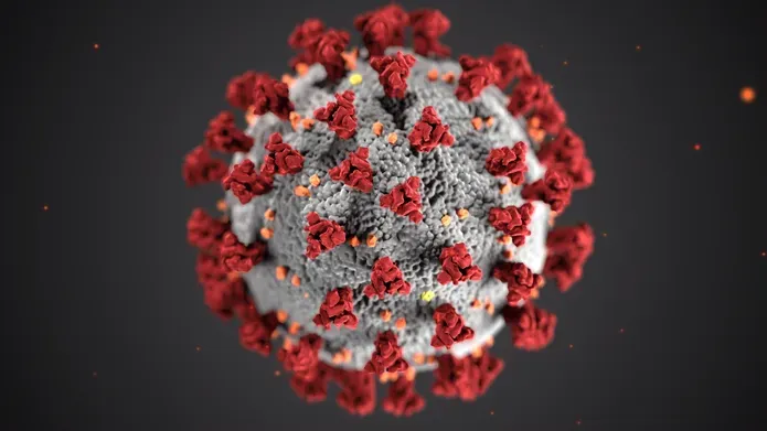 red and grey close up of covid 19 virus, sphere with spikes on it