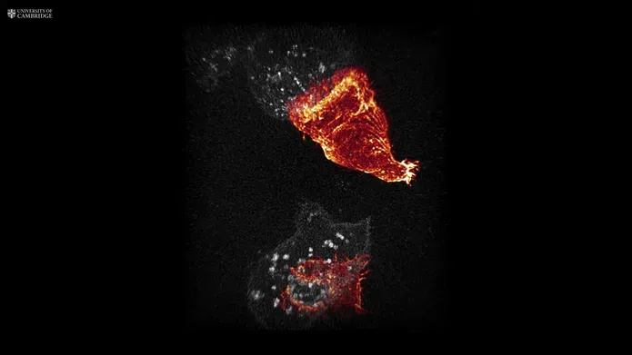 red t cell on black background