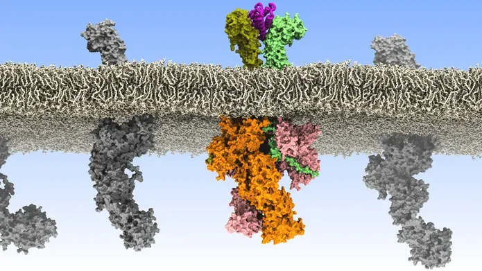 colourful cells under the microscope looking like plumes of smoke