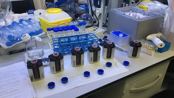 lab bench with samples on it