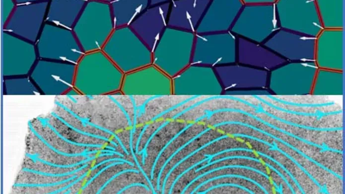 Image of cells undergoing gastrulation