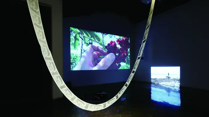 Video installation in a dark room. One hanging screen shows a hand reaching for berries on a tree. A looped paper hangs in front. 