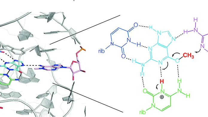 chemical structure in different colours