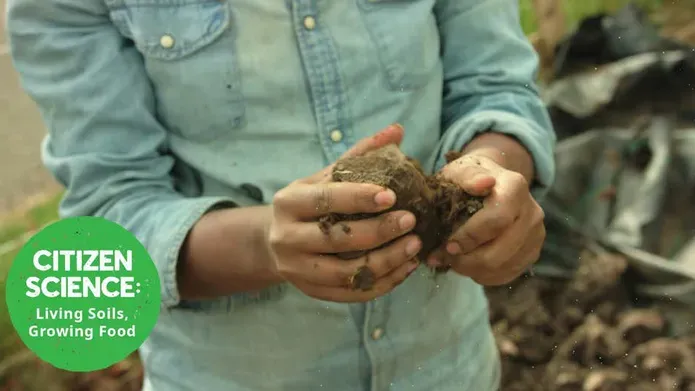 Citizen Science - Living Soils, Growing Food