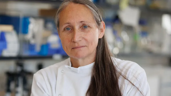 Image of Prof Kate Storey in her lab