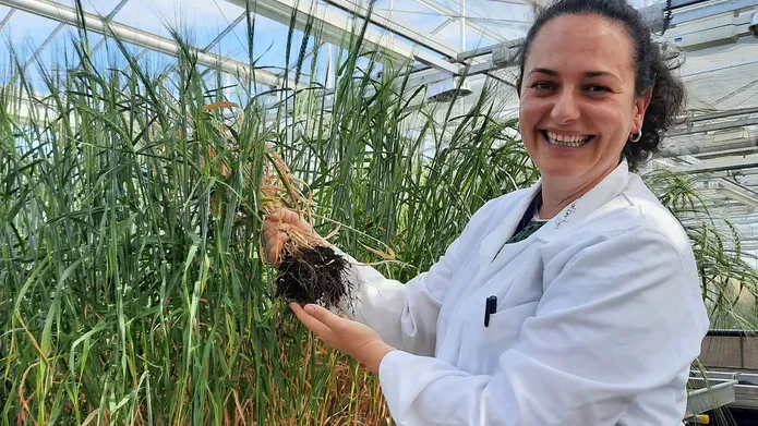 female scientist holding barley