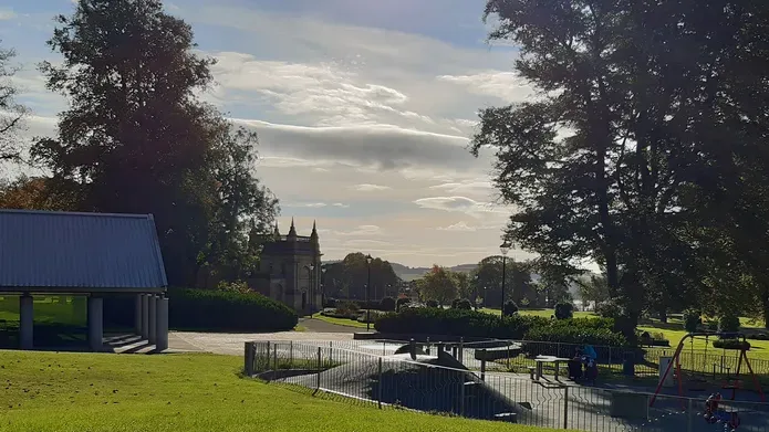 green park with vibrant grass and trees underneath a blue sky with bright sun