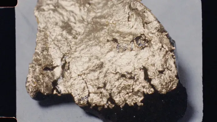 16mm film still. picturing a rock covered in gold leaf. The form of the rock and leave create a curious animal like head/face.