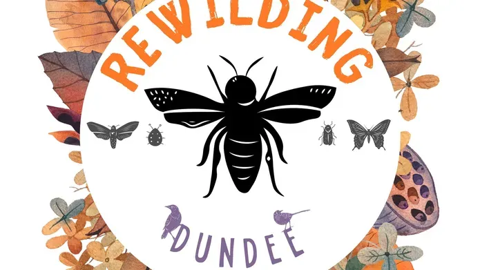 A circular logo with an illustration of a bee. It is surrounded by text reading 'Rewilding Dundee'
