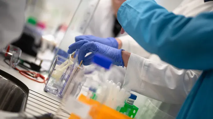 Image of researchers' hands working in lab