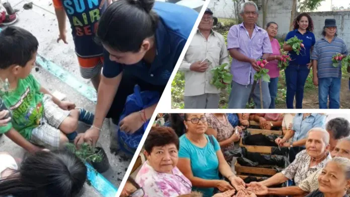 Community Gardens Beyond Communities