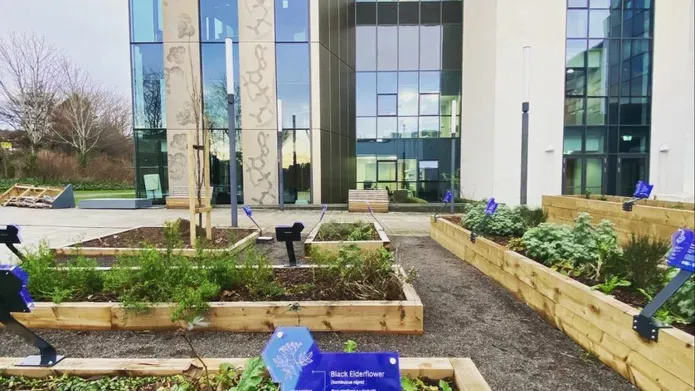 Growing Strong Roots – The WeeCAIR Medicinal Garden