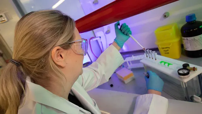 A female scientist wearing a lab coat, safety glasses and gloves pipetting blood samples into a series of test tubes inside of a ventilated fume closet.