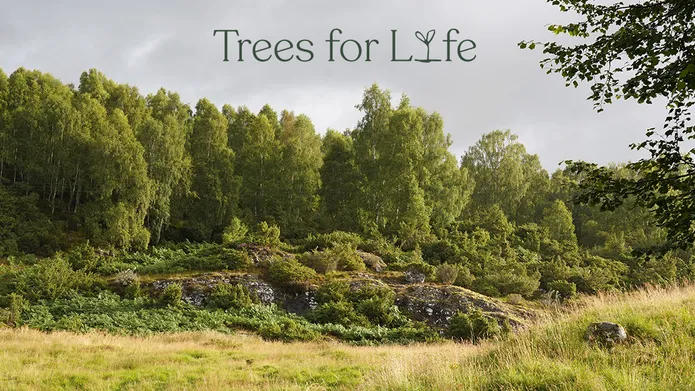 Pic of Dundreggan Forest