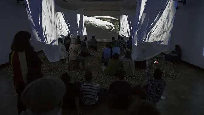 Audiences gathered in the exhibition space sitting on wood chip, wooden stumps and standing all watching five projection screens with an image of an electric eel