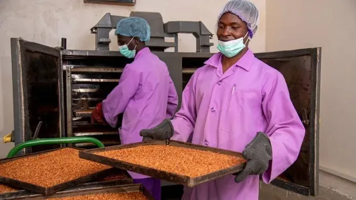 Two kitchen staff taking trays of food out of an oven. 