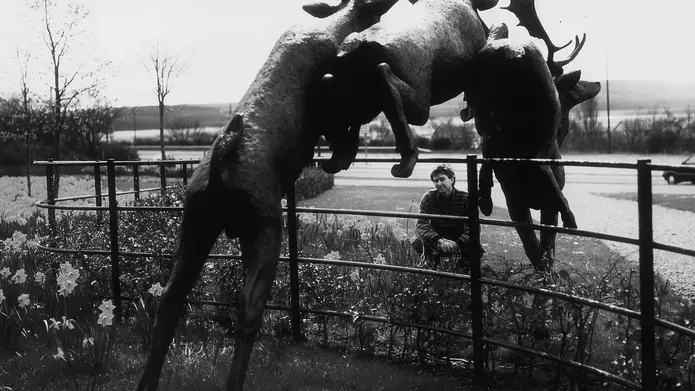 Deer Leap by David Annand