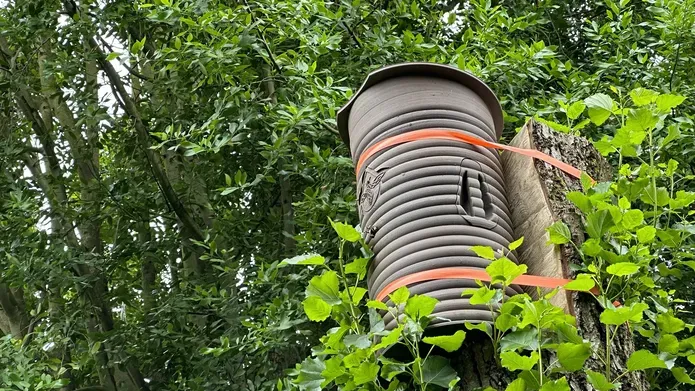 3D-printed log hive secured on a tree at the university of dundee botanic garden