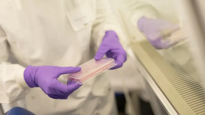 A person in a white lab coat and purple gloves holds a plate relevant to cell culture - only their hands are in shot