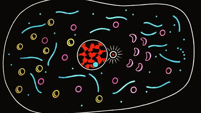 Detail from a teaching chart of The Cell by Paul Sougy