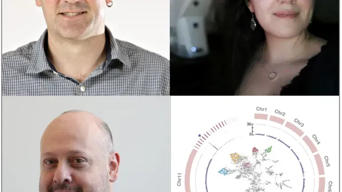 Clockwise from top left - David Horn, Joana Faria, Michele Tinti