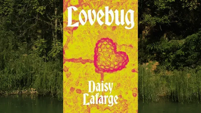 Lovebug by Daisy Lafarge book cover on a swampy green background. Book is toxic yellow with a red heart 