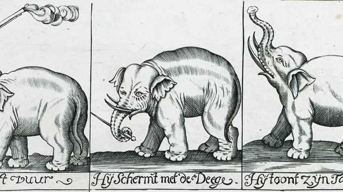 Detail from a poster for the performing elephant