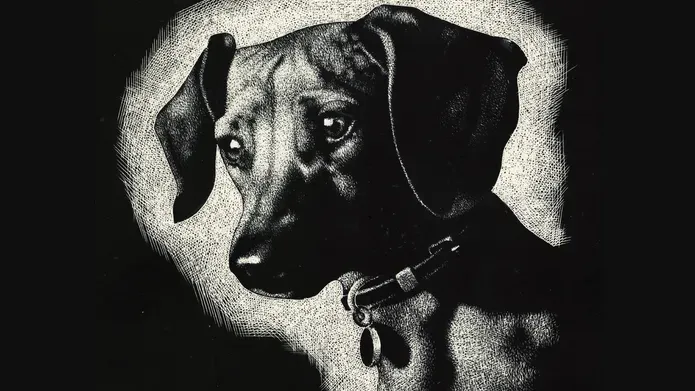 Dog's Head by Alexander Allan, c.1930s