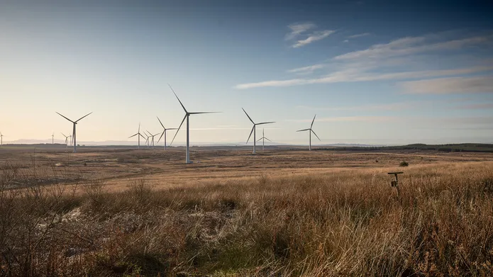 Wind farm in a field