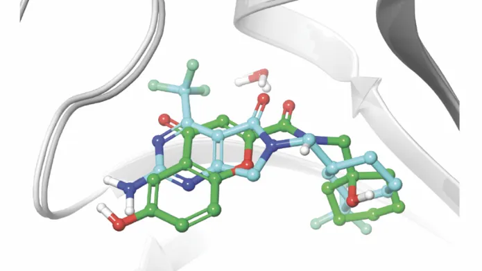 A scientific model of Cryptosporidium