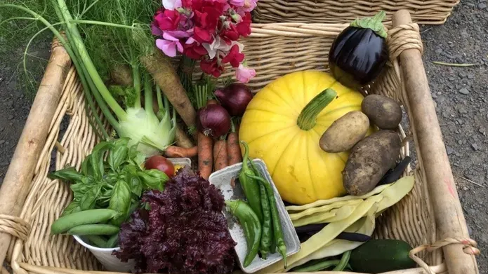 A wicker basket filled with vegetables.