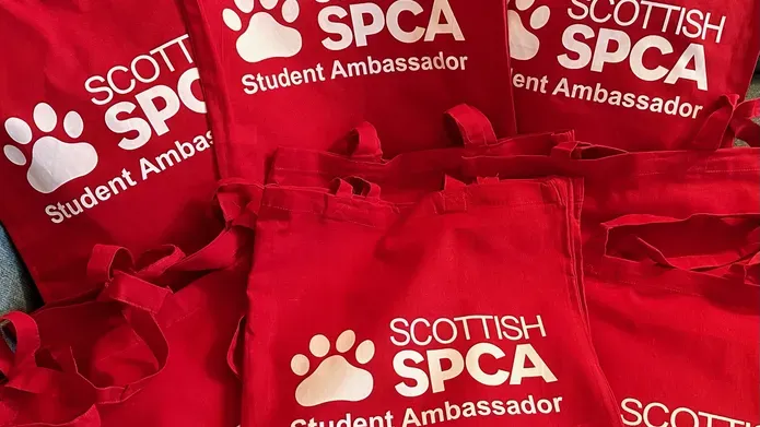 A row of red Scottish SPCA tote bags