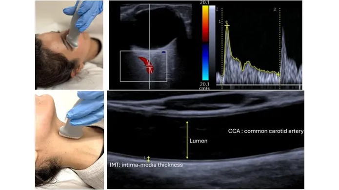 A patient receiving ultrasound and images of graphs from the results