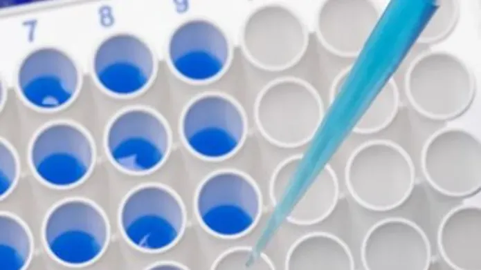 photograph of a partial image of 96 well plate with blue liquid in some of the wells. A pipette tip is seen above an empty well, the tip contains blue liquid.