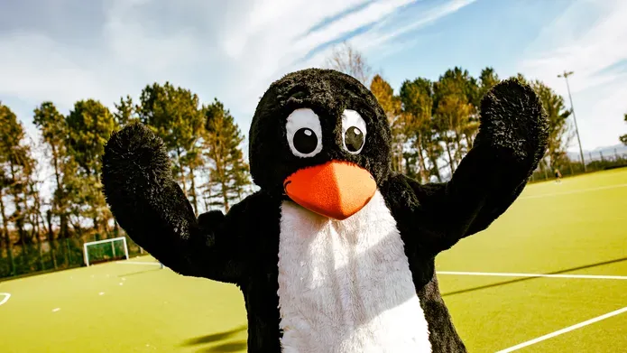 A person in a penguin suit stands on a playing field with their arms in the air.