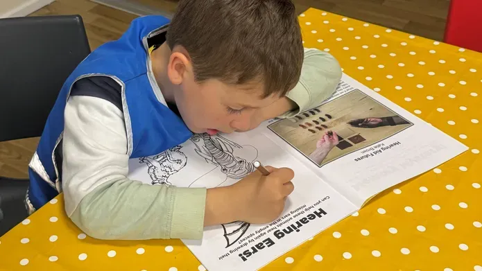 A boy colouring in a book 
