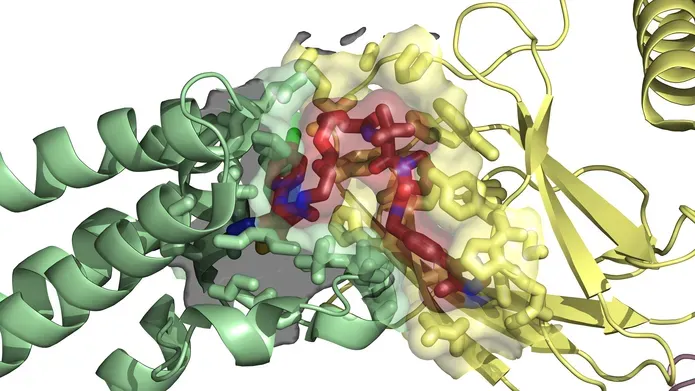 CeTPD's induced-proximity structure, shown in a variety of colours