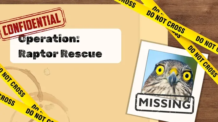 Graphic design made to look like a case file labelled (Operation: Raptor Rescue) is laid on a wooden table. On the right hand side of the graphic there is a polaroid of a eurasion sparrowhawk with the text "MISSING" stamped on top.